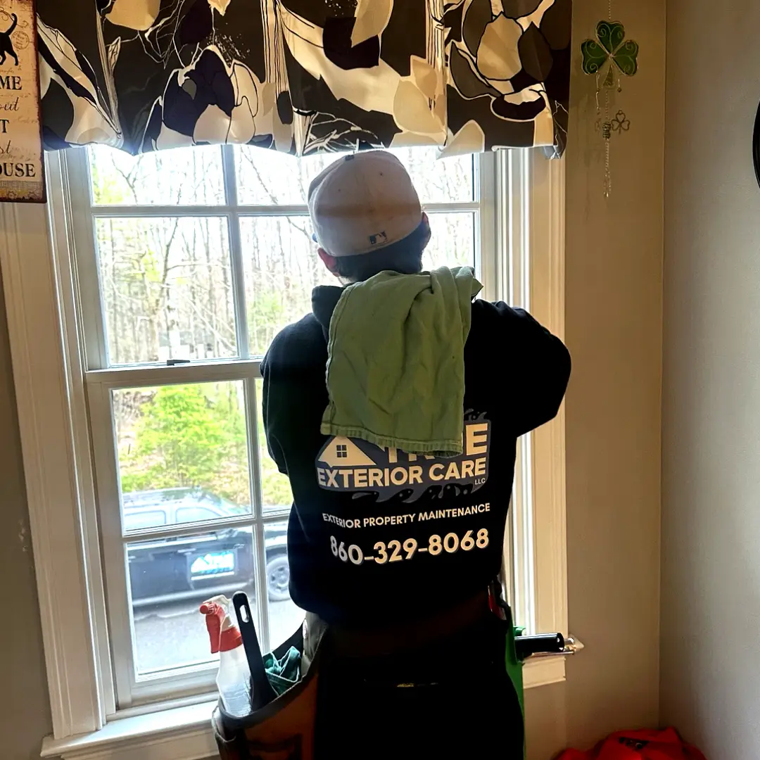 Window cleaning before and after