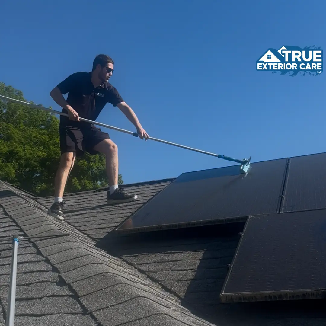 solar panel cleaning ct
