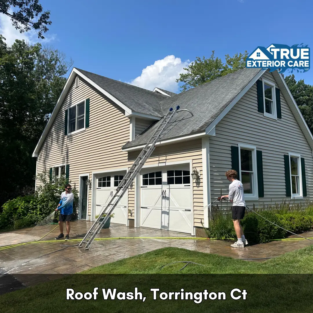 roof washing