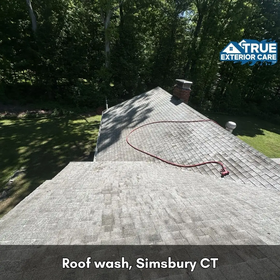 roof washing